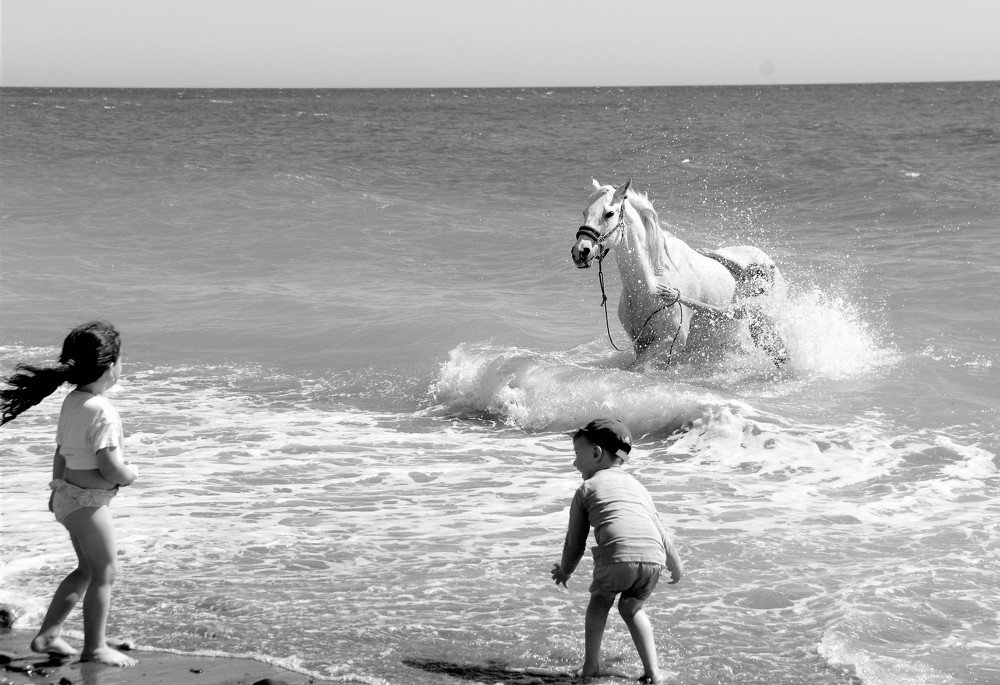 Photograph by Dasha Chovancova