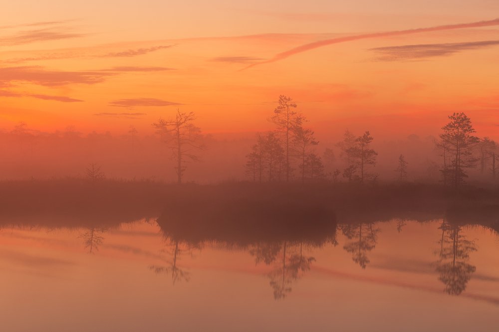 Photograph by Элвис Антсон