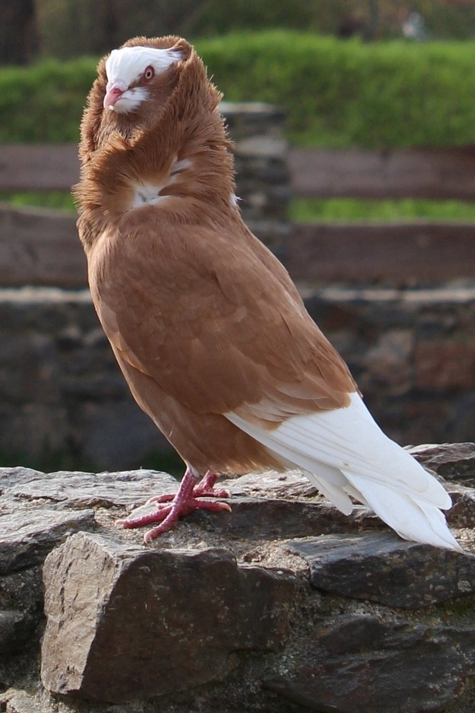 Photograph by Виталий