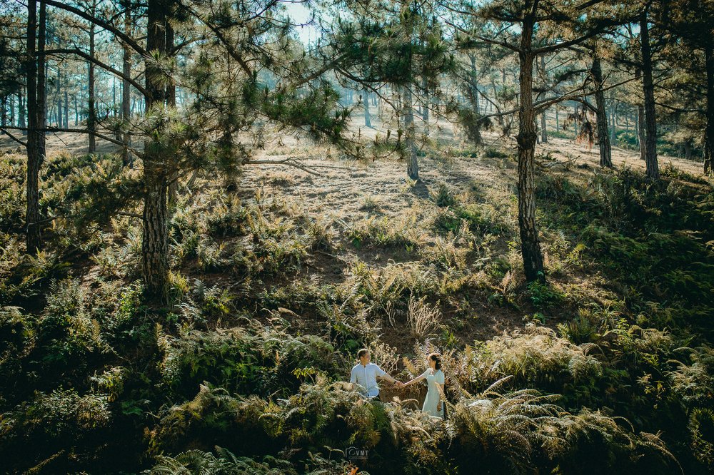 Photograph by Bryan Vu