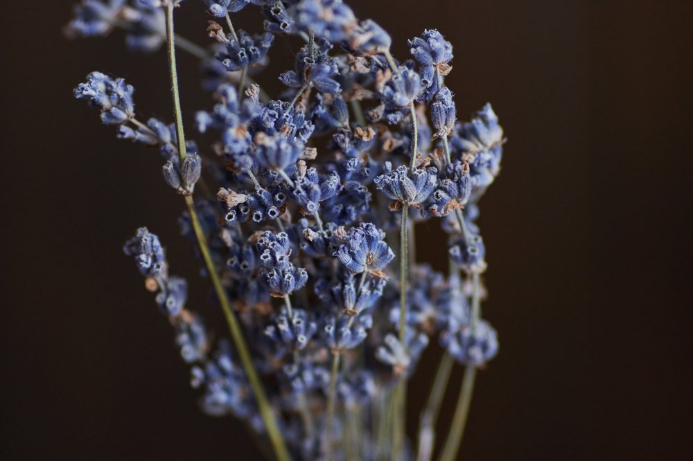 Photograph by Чмиль Валерия