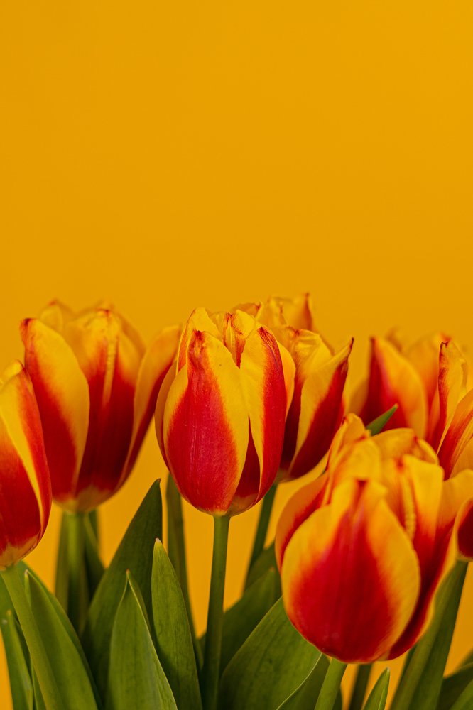 Photograph by Чмиль Валерия