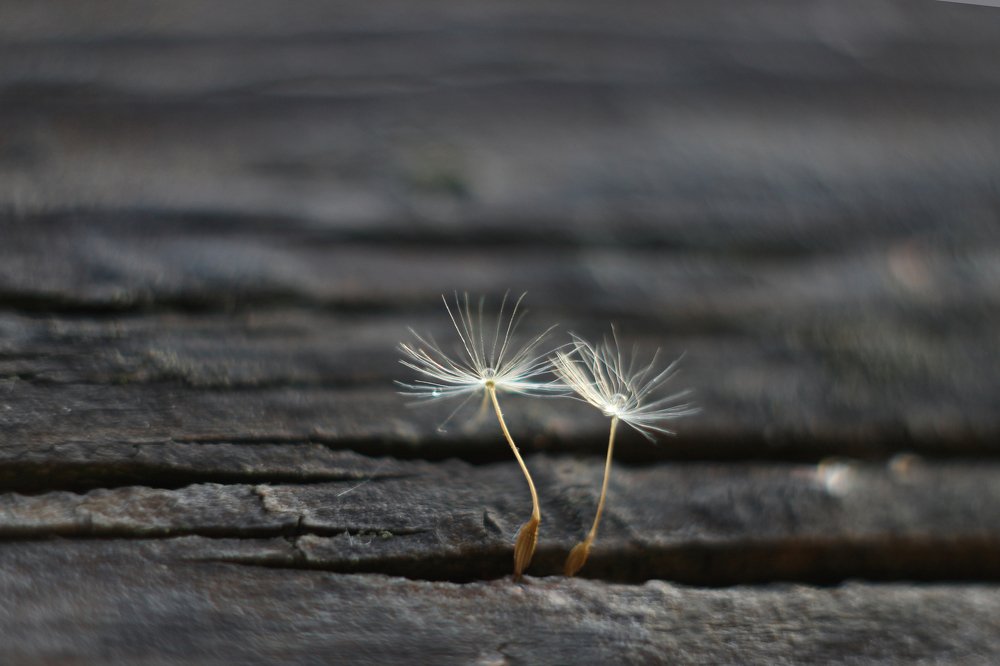 Фотография автора Анна Кравченко