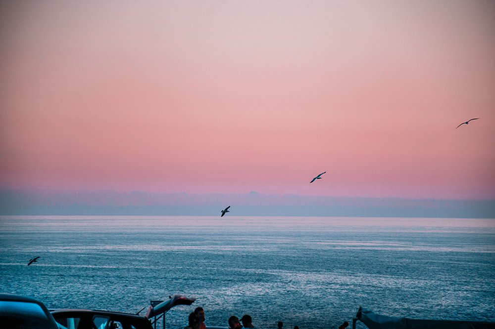 Photograph by Анна Корнеева