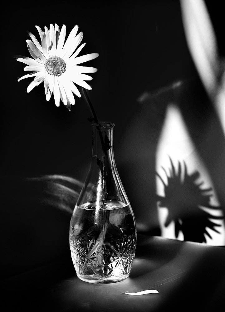 Photograph by Сергей Шварцман