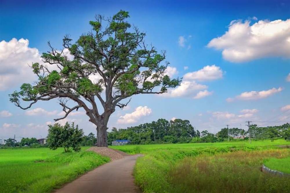 Bình yên một góc Quê