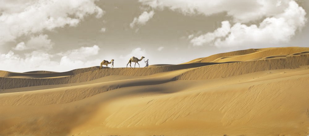 The Charming LIWA Desert (UAE).