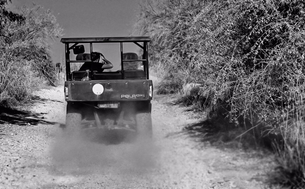 Photograph by Яков