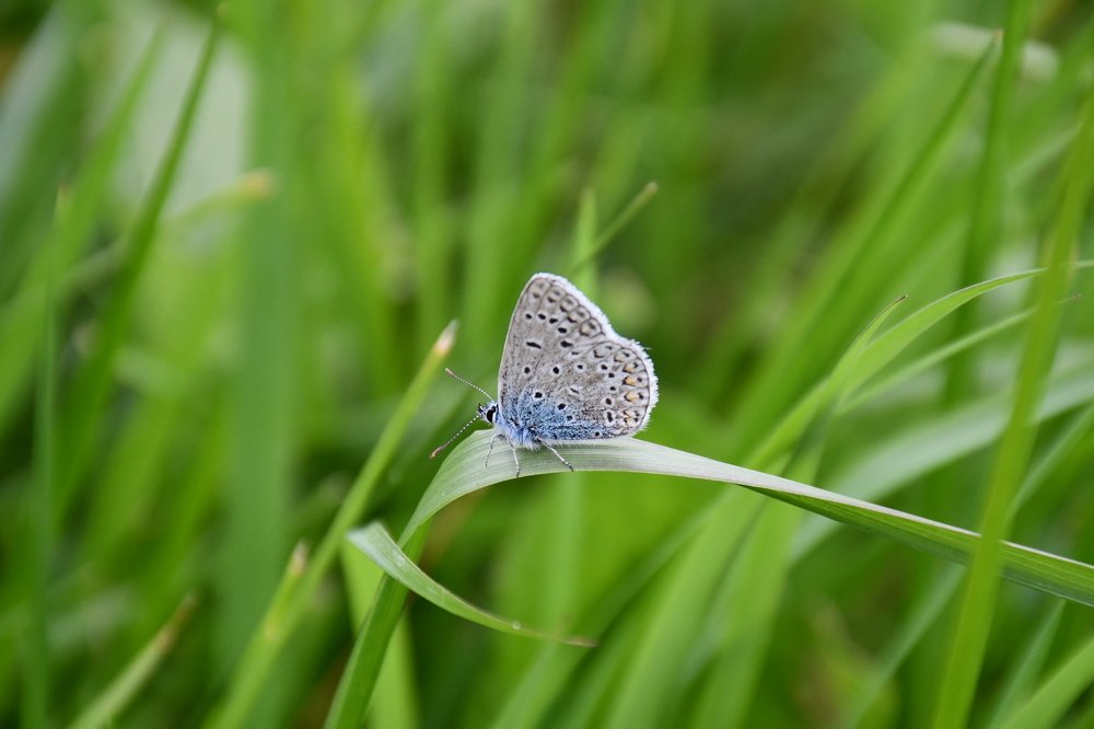 Photograph by Алина Голубева