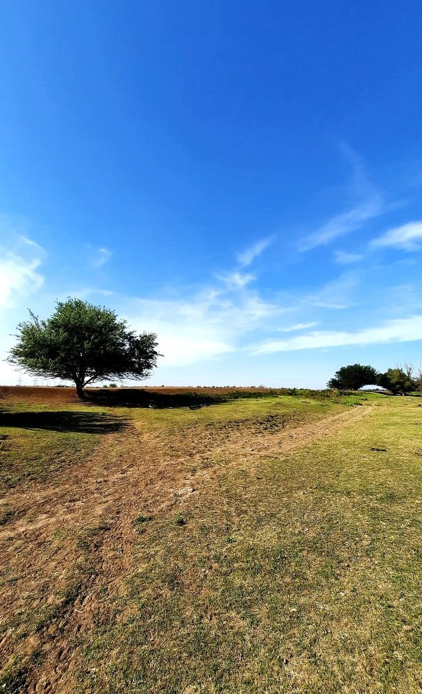 Photograph by Валерий Терехов