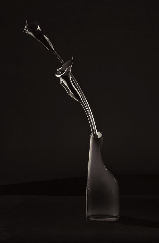 Photograph by Irina Grigoryeva