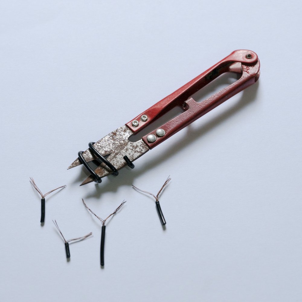 The moment of victory