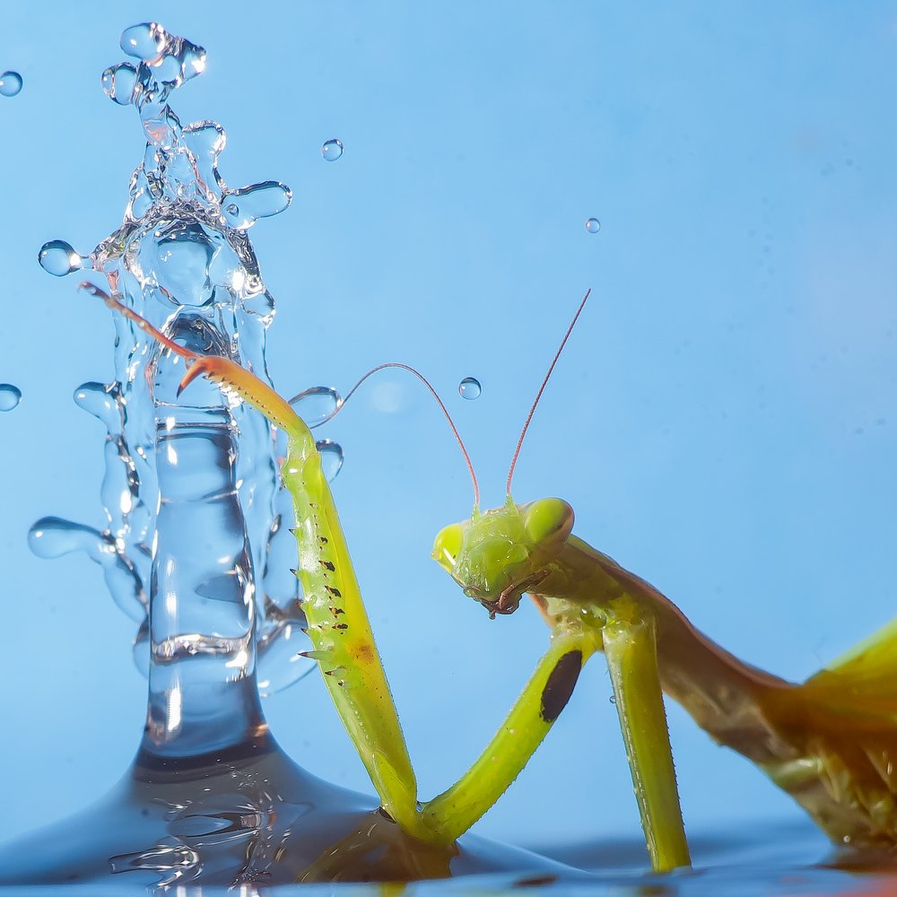 Photograph by Алексей Козлов