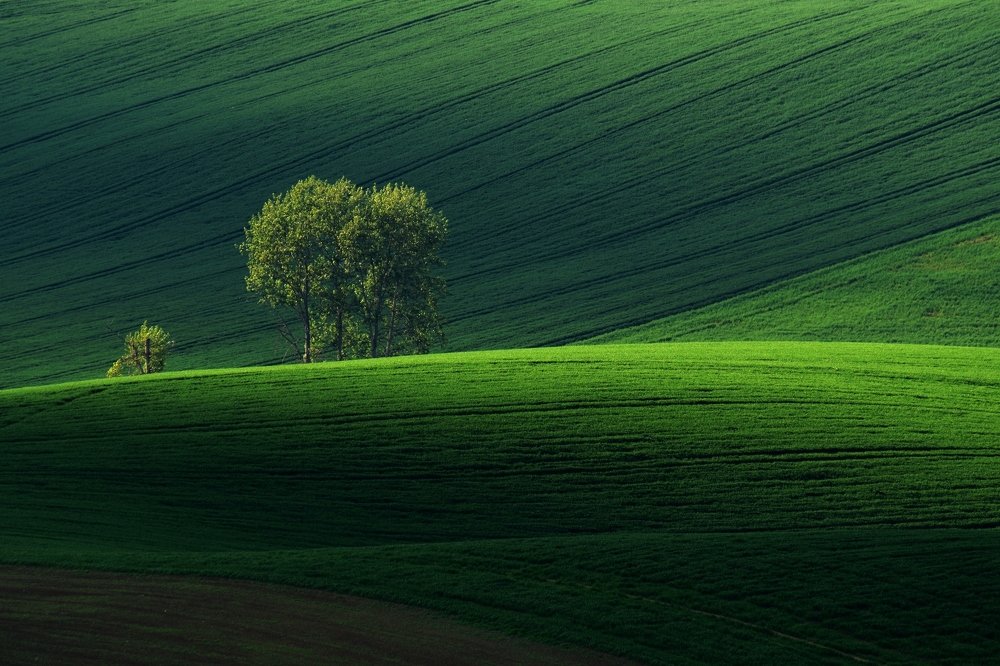 Krajina v zelenom