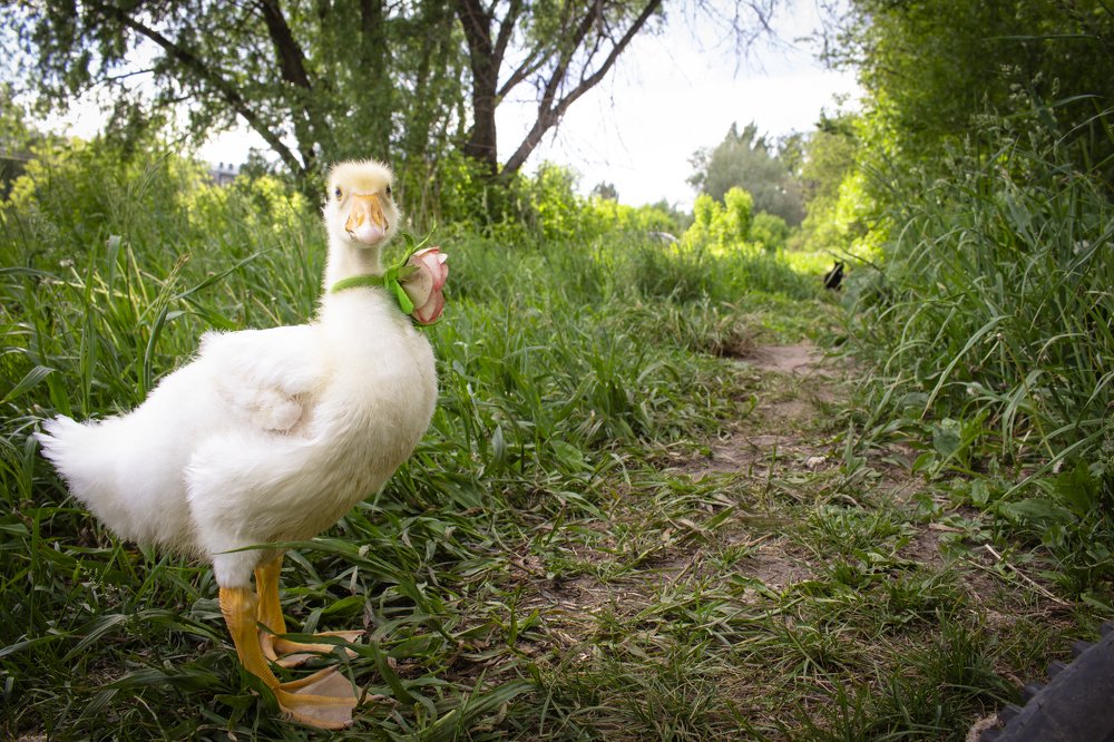 Photograph by Сергей Захаров