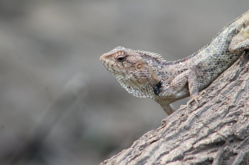 Photograph by Sarmad Sindhi