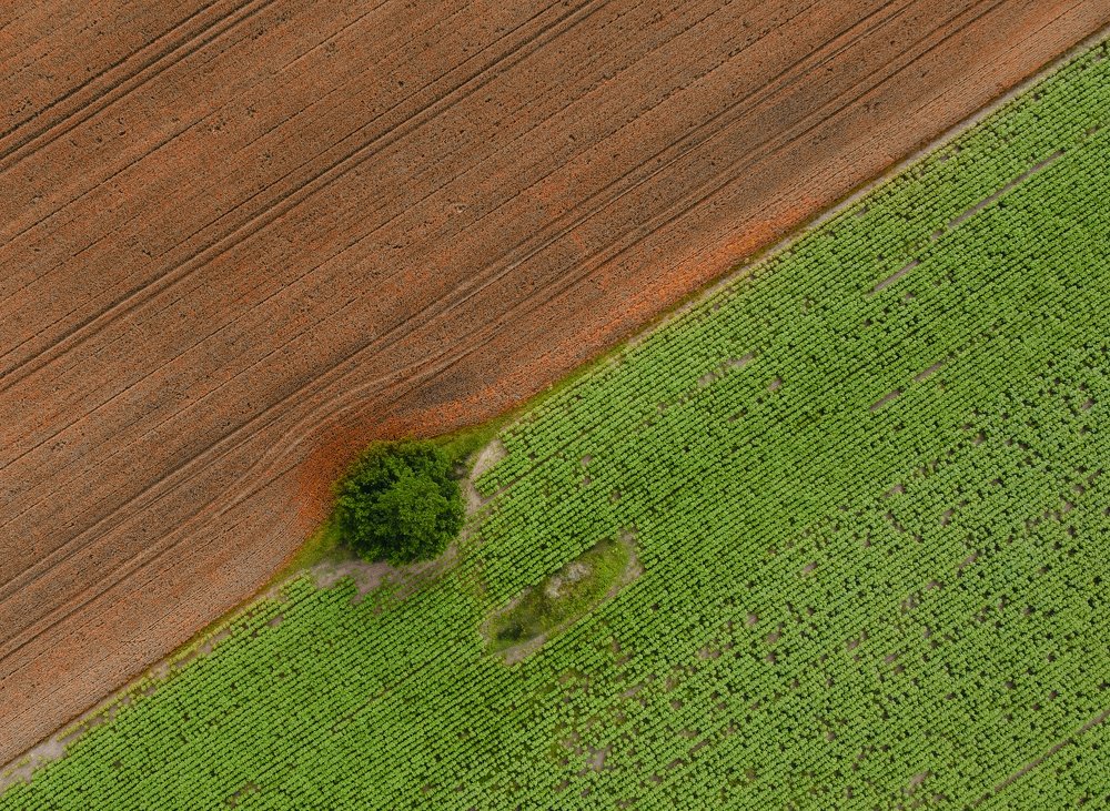 Photograph by Mihai Romeo Bogdan