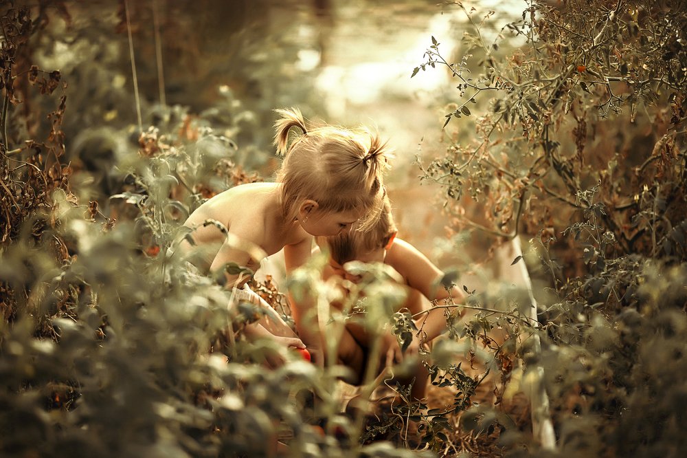 Photograph by Анастасия Матрос