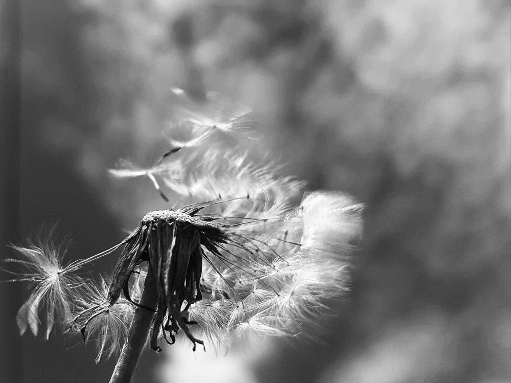 Photograph by Ольга Пумочка-13