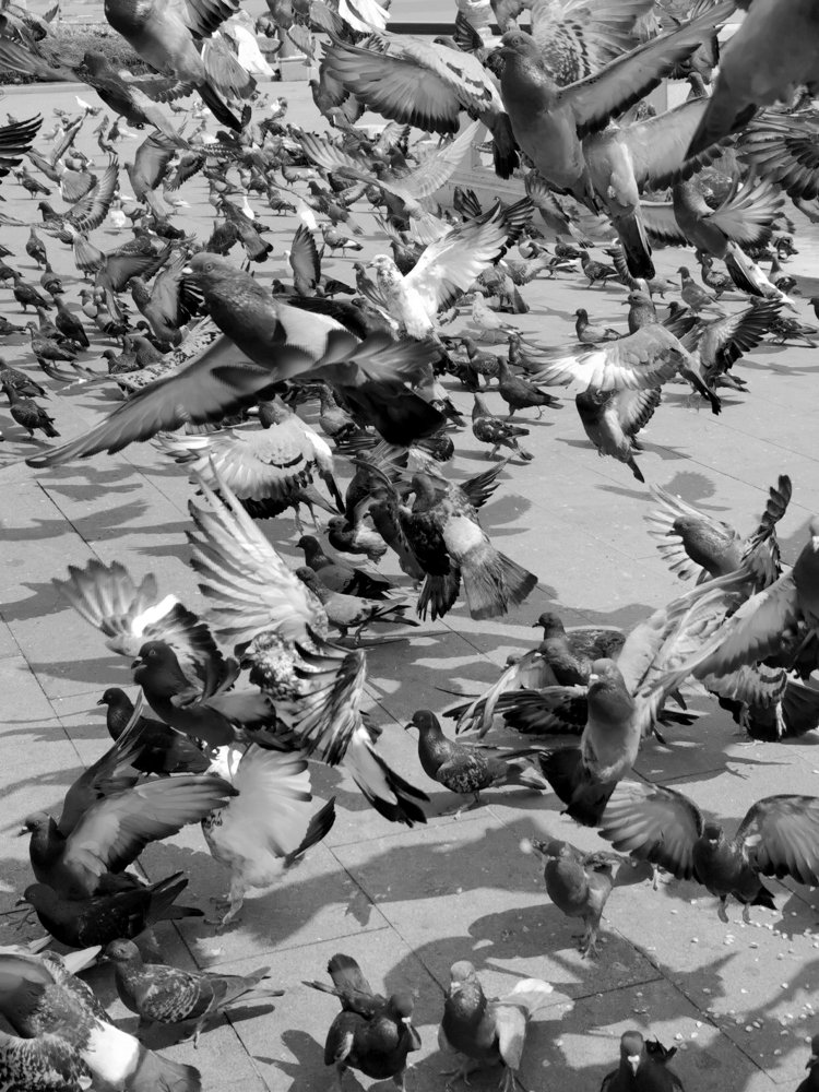 Photograph by Dzianis Mizhui