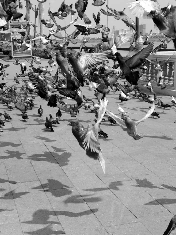 Photograph by Dzianis Mizhui