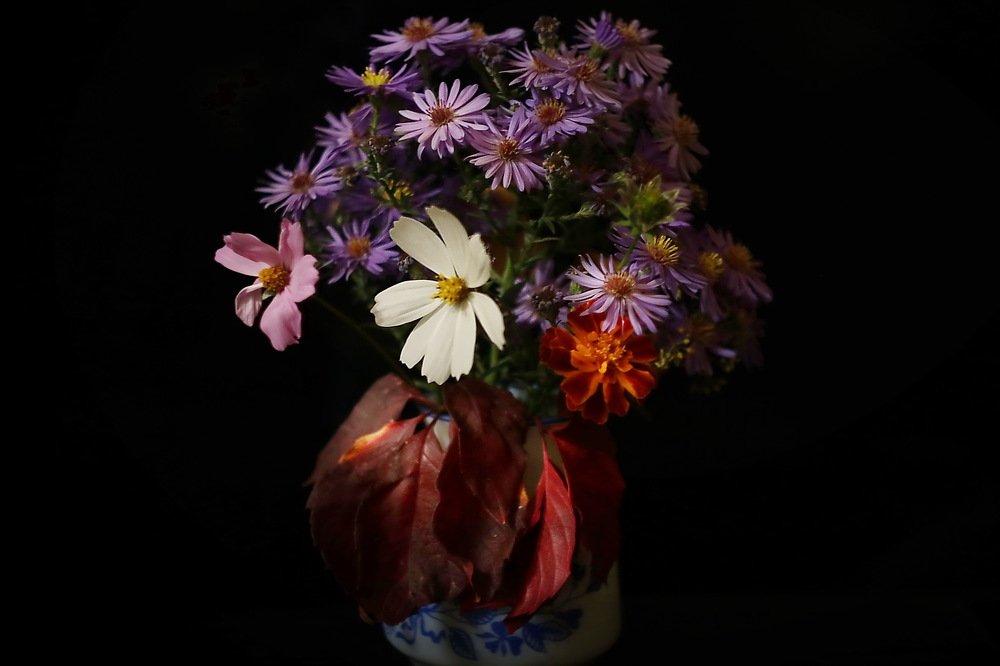 Фотография автора Анатолий Мироненко