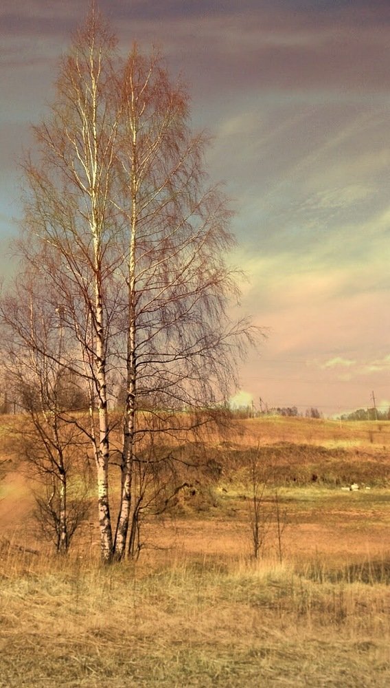 Фотография автора Виктор Крючков