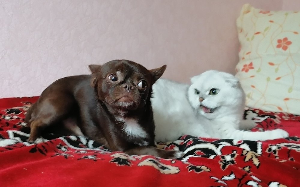 Photograph by Демьян Лопатов