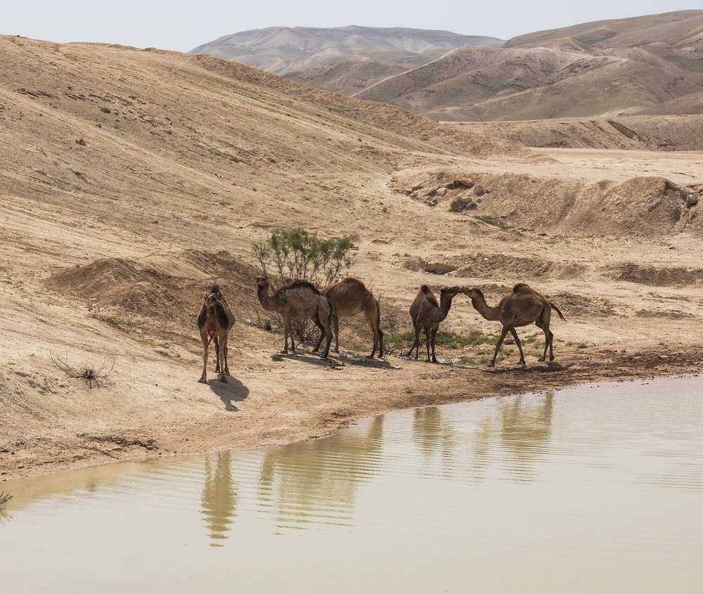 Photograph by klara Neikov