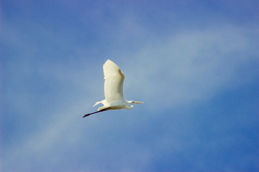 Photograph by Антон Кремер