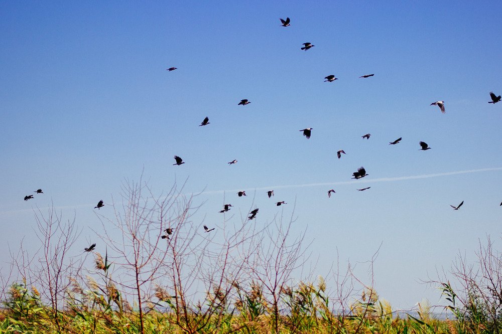 Photograph by Антон Кремер