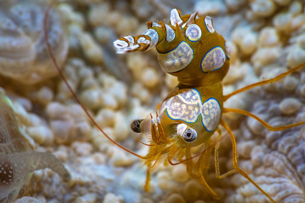 Photograph by Андрей Савин