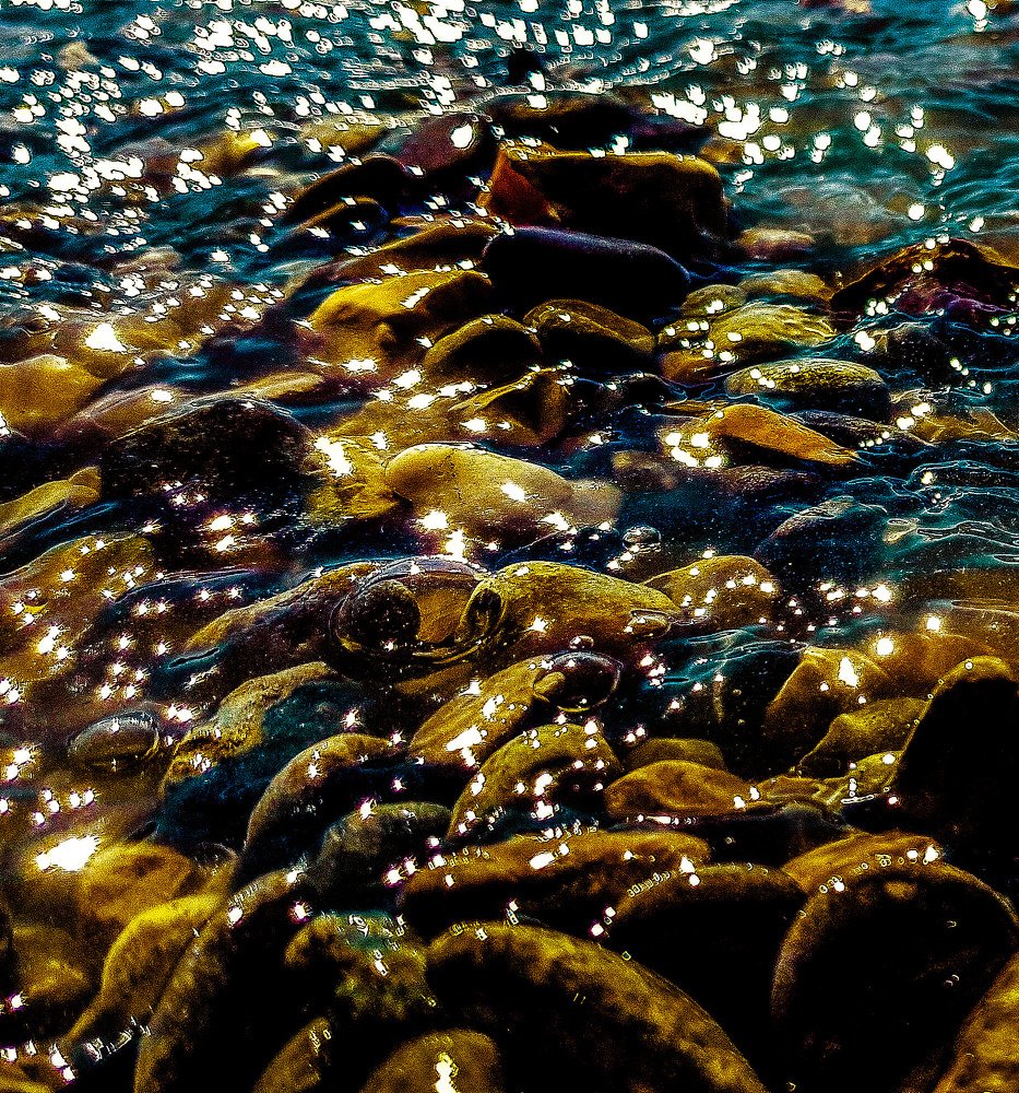 Photograph by Alexia Vlada