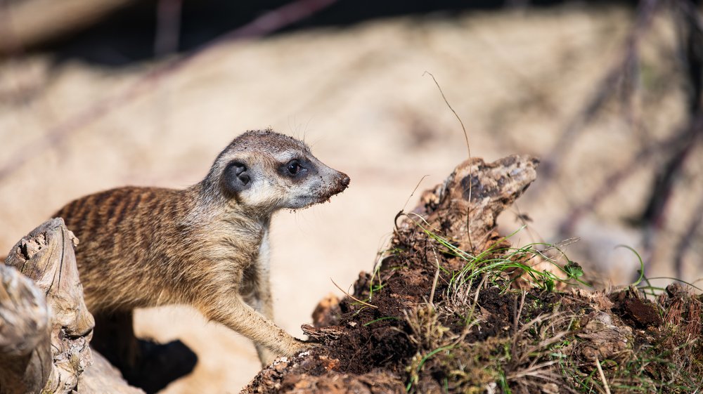 Photograph by Mohammad Rajabzadeh