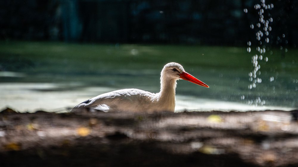 Photograph by Юрий Юрченко