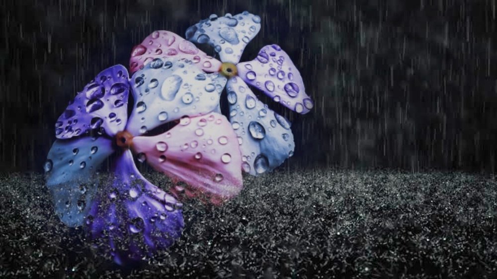 Photograph by Kandarp Mehta