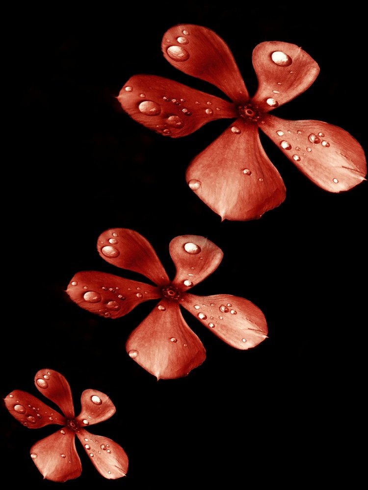 Photograph by Kandarp Mehta