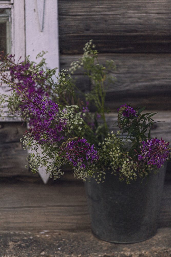 Photograph by ИРЕНА Федорова