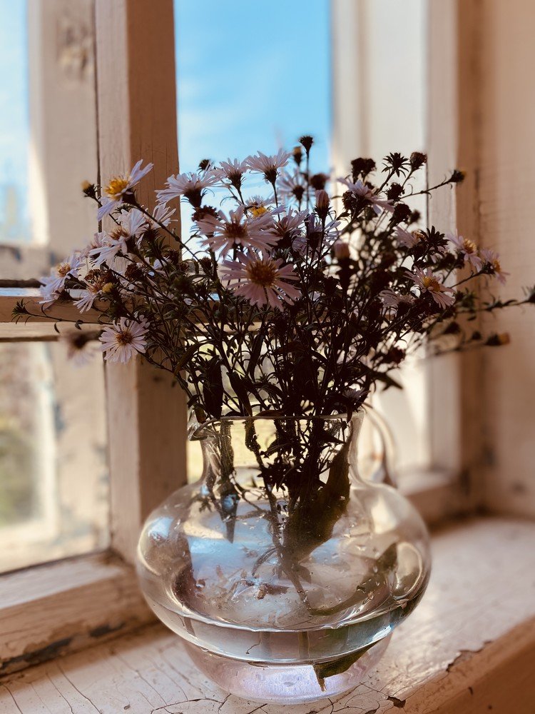 Photograph by ИРЕНА Федорова