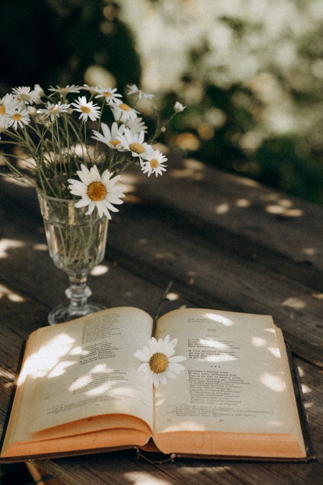 Photograph by Ксения Смагина