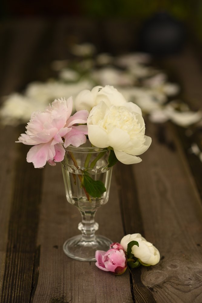 Photograph by Ксения Смагина