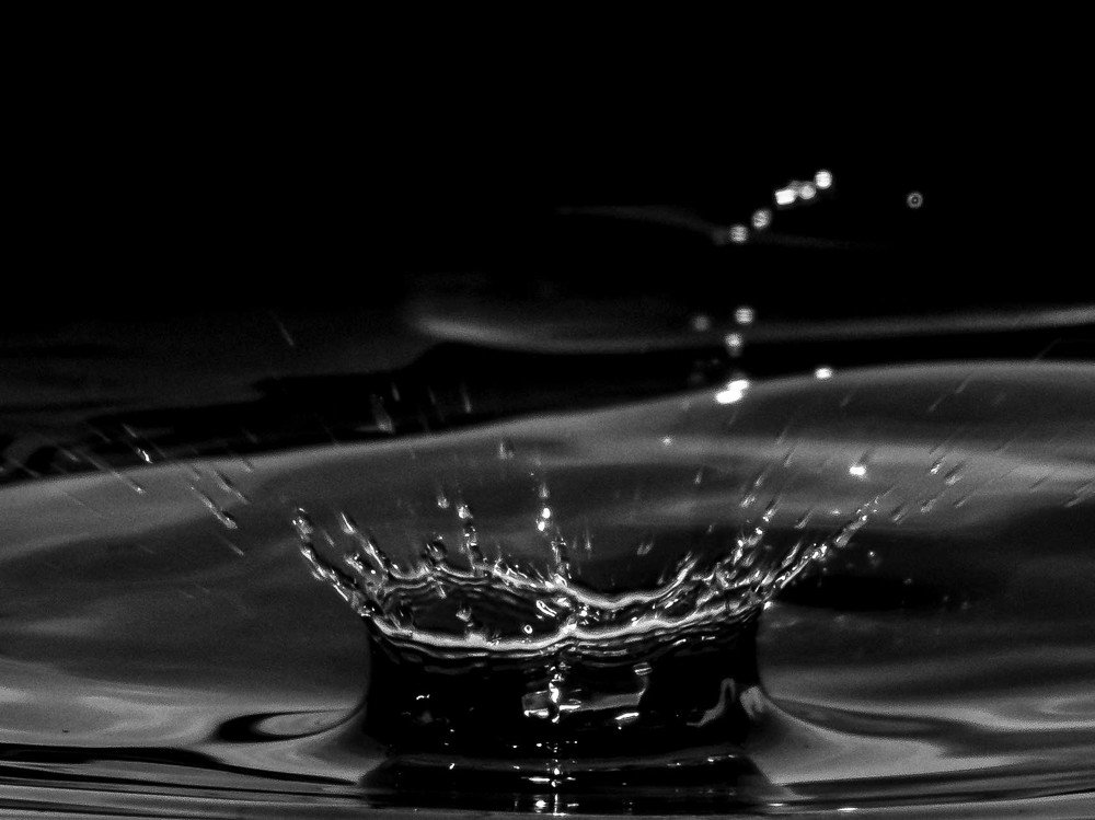 Photograph by mikhail goryachev