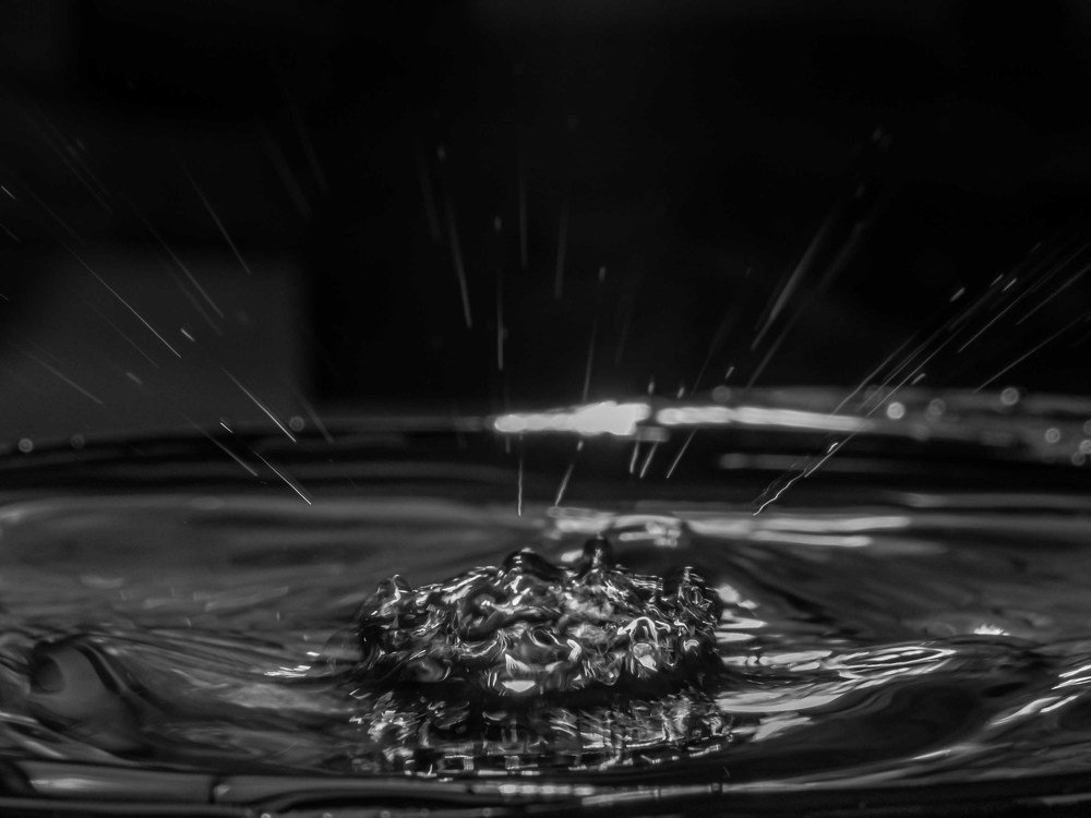 Photograph by mikhail goryachev