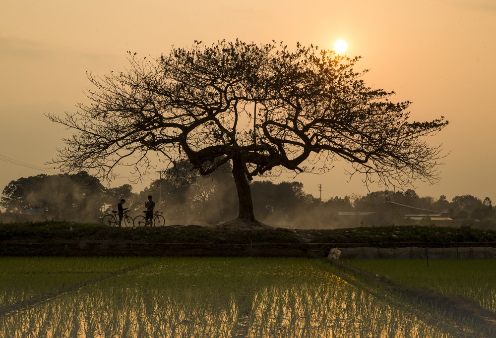 Photograph by Sky Hunter Duy Quang