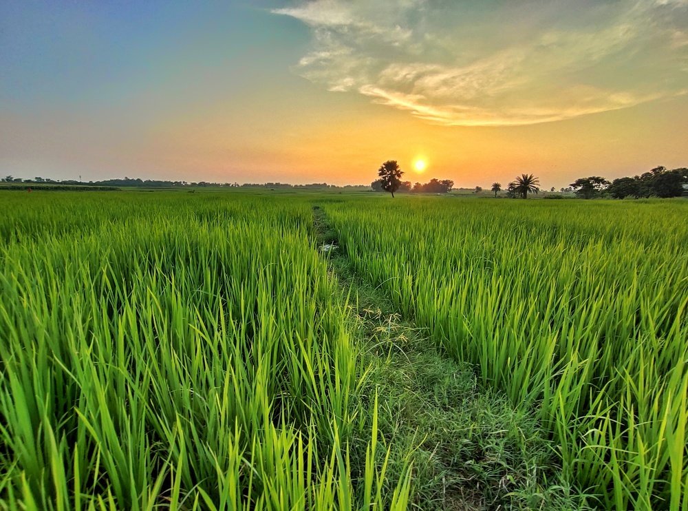 Photograph by Sayan Kundu