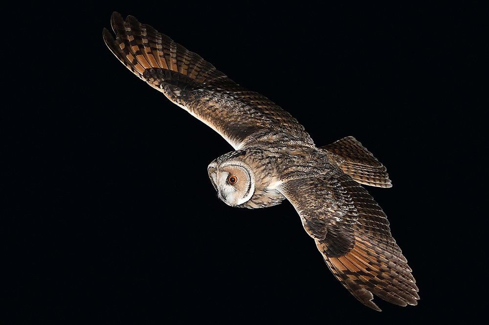 Photograph by Вячеслав Ладанов