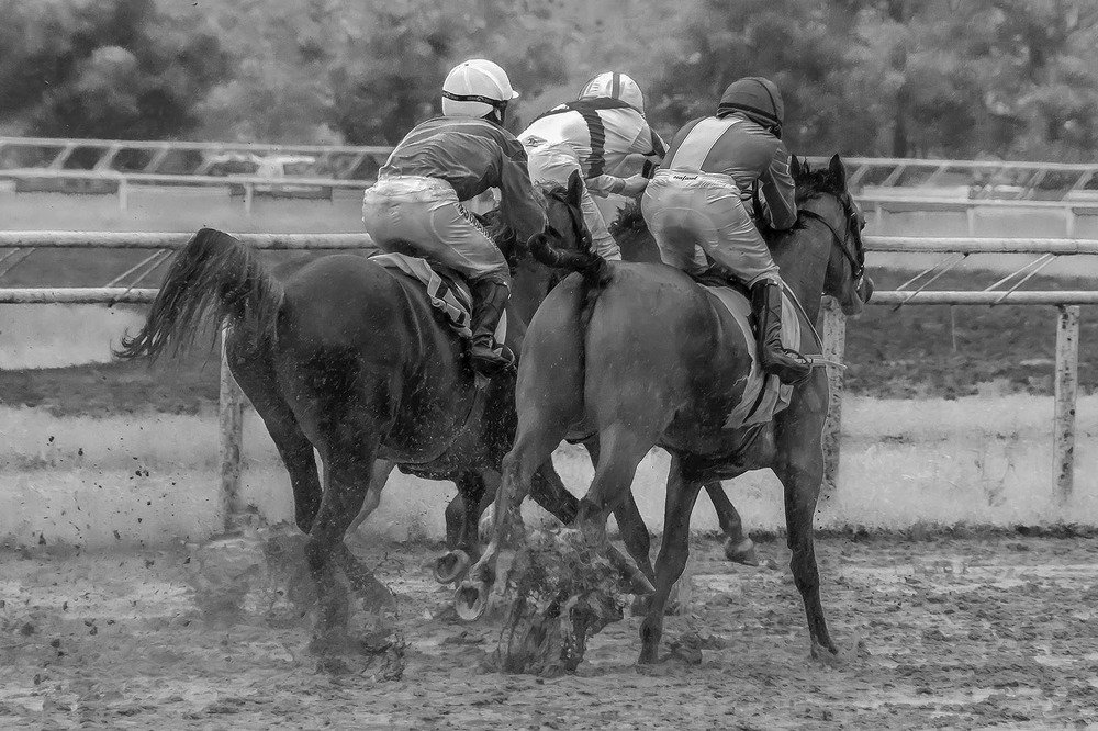 Photograph by Евгений Киселев