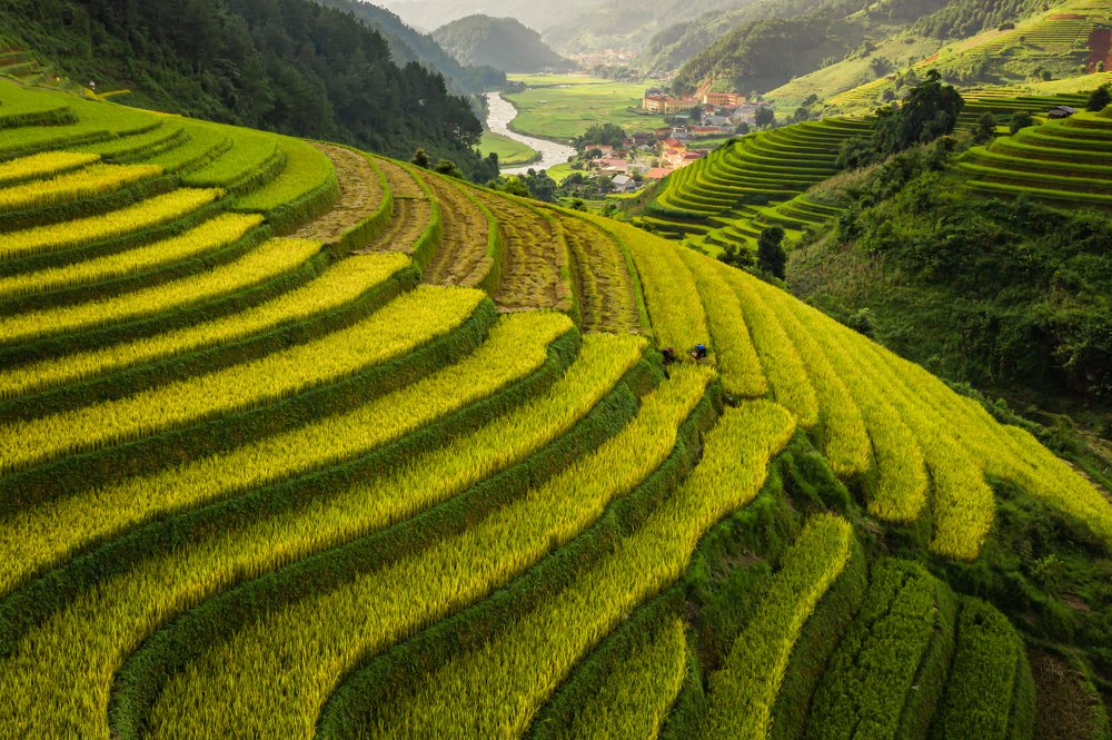 Фотография автора quach nam