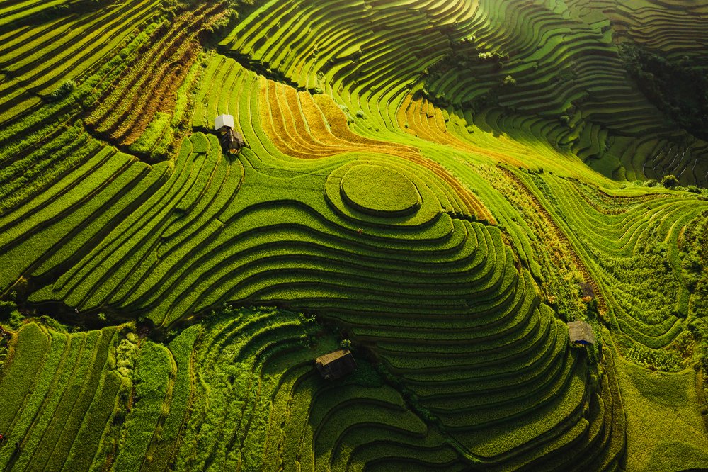 Фотография автора quach nam