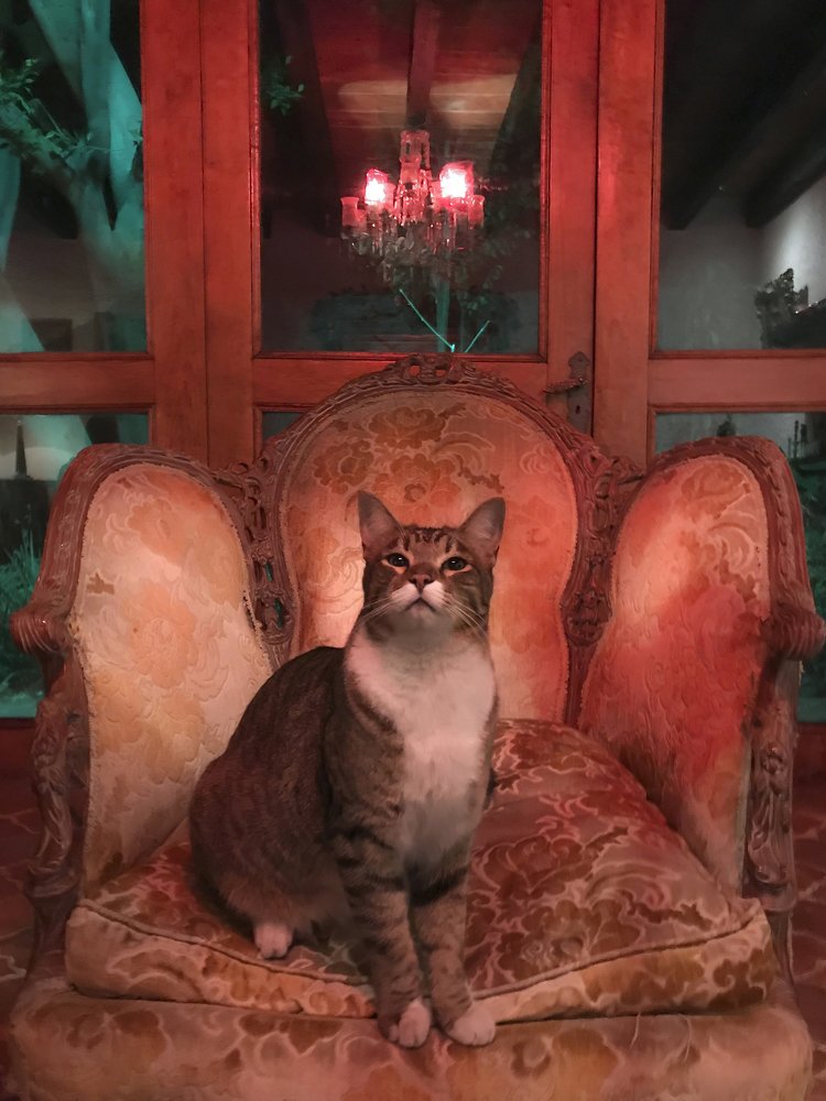 Photograph by Andrea Diaz-Perezache